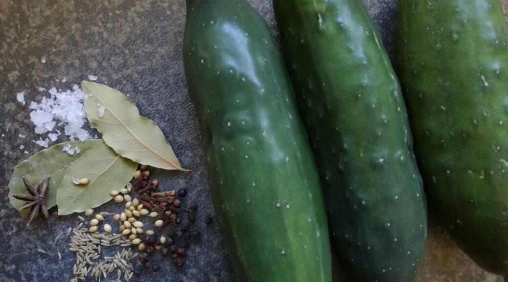 Pickled cucumbers