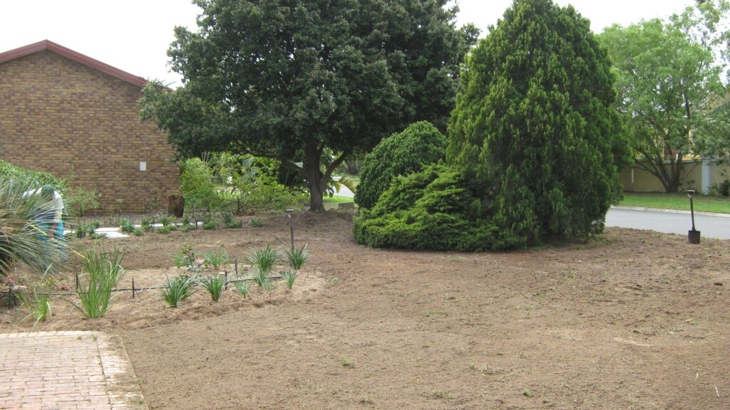 fixing the front garden