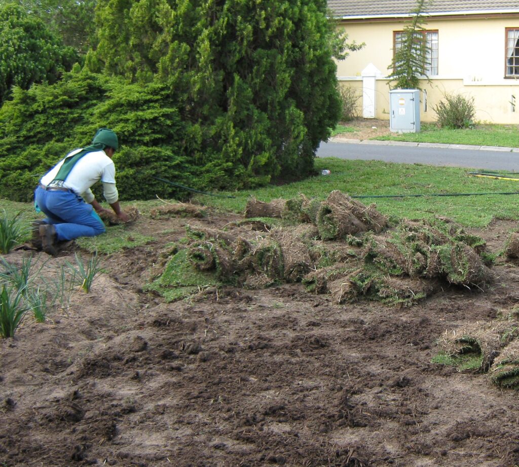 fixing the front garden