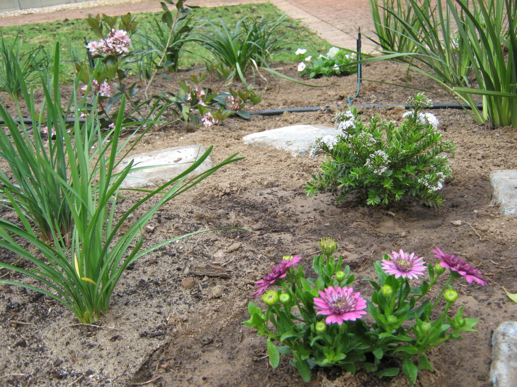 fixing the front garden