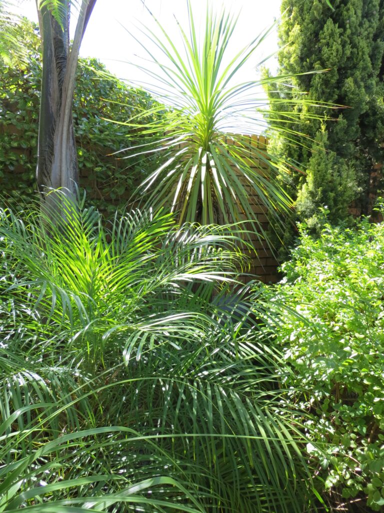 Contemplative Garden