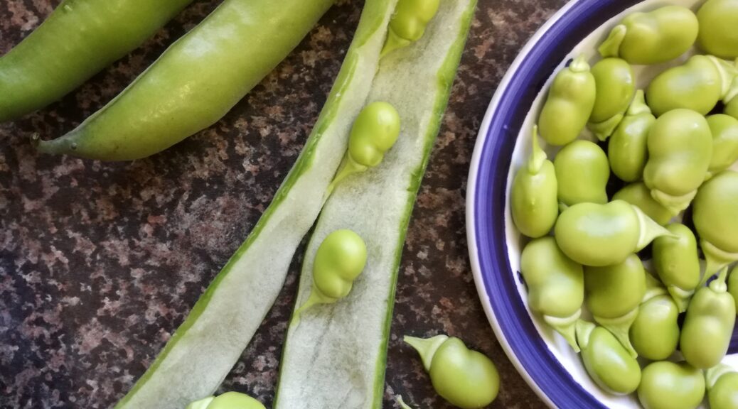 Broad Bean Dip