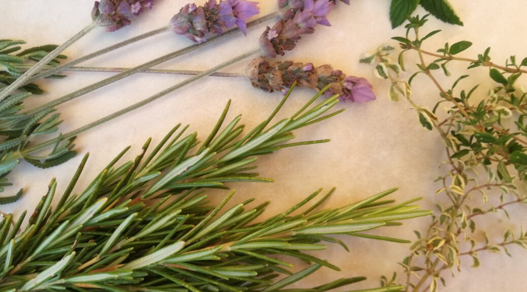 healing herbs healthy