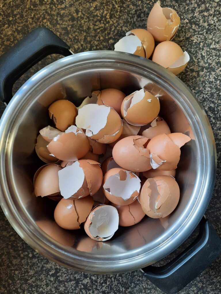 egg shell tea that can benefit your garden