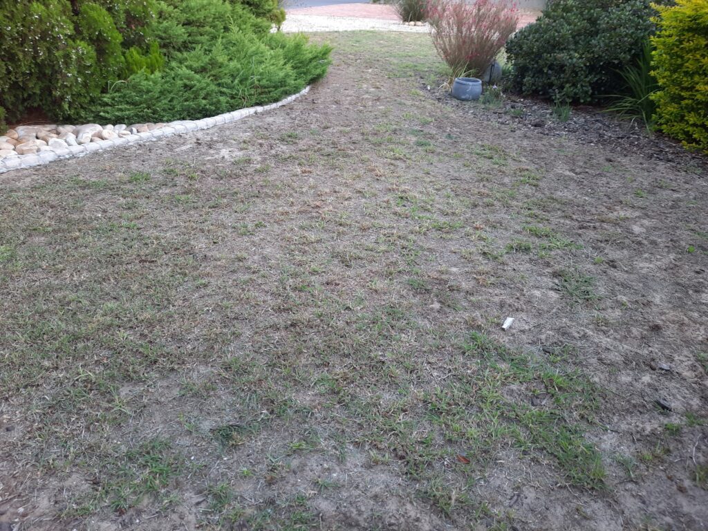 no-lawn garden landscaping