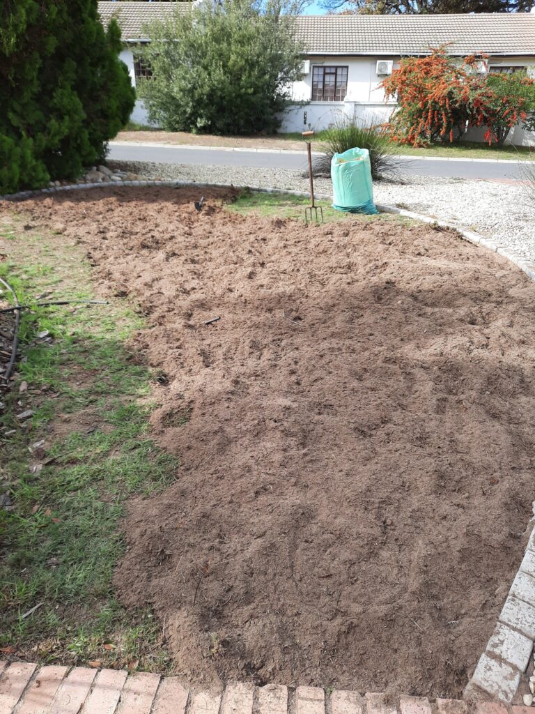 no-lawn garden landscaping